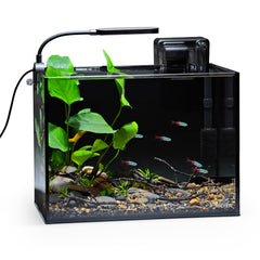 NICREW 2.5-Gallon Nano Nature Aquarium Kit front view—compact desktop tank for small spaces