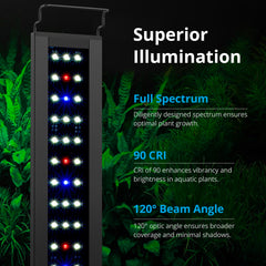 NICREW C10 day night cycle demonstration for natural aquarium rhythm