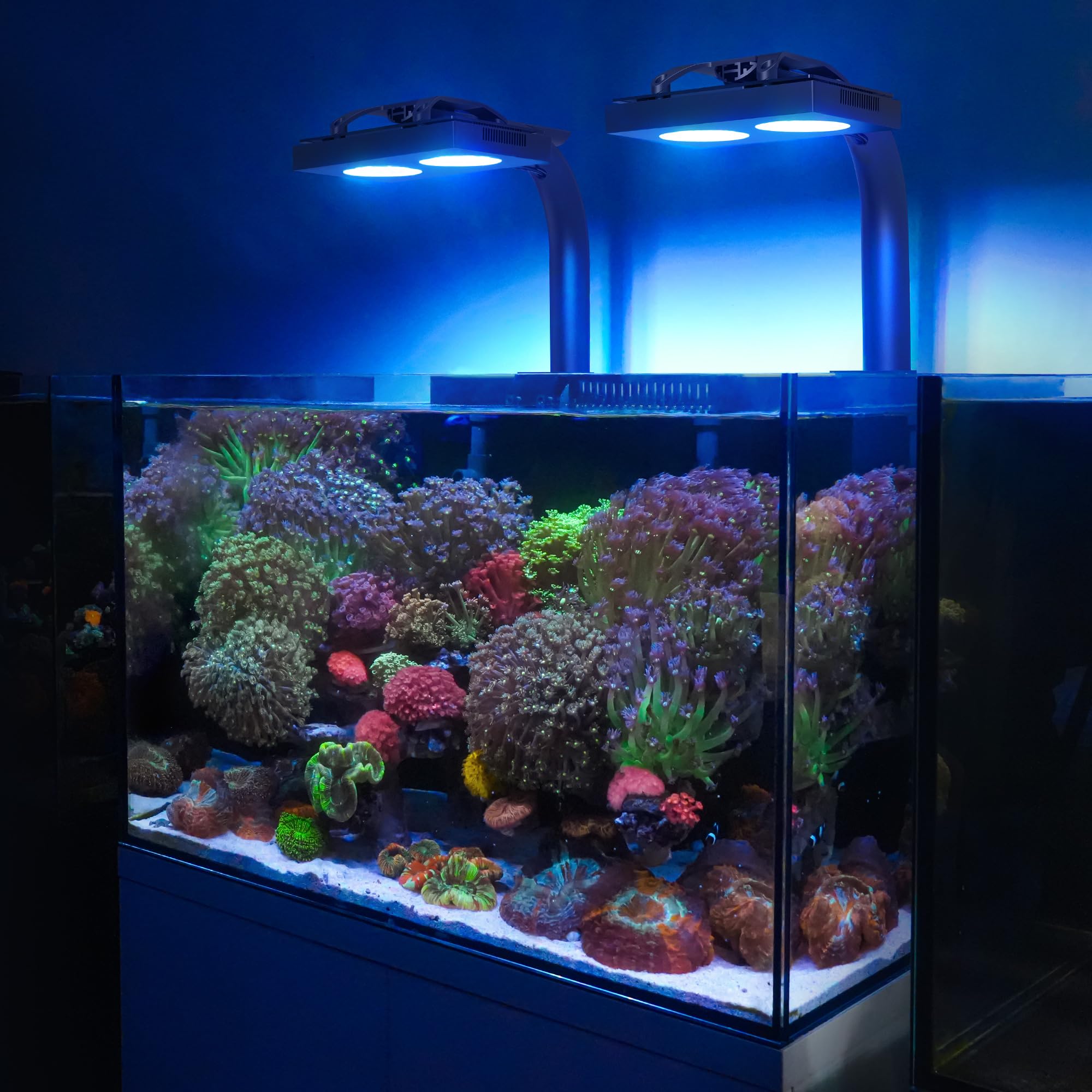 NICREW HyperReef 150 Gen 2 mounting options demonstrate versatile installation.