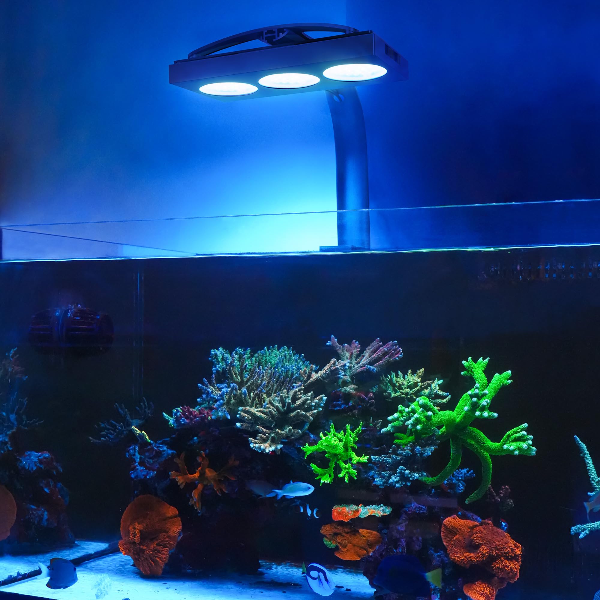 NICREW HyperReef 200 Gen 2 reef glow showing vibrant colors in coral display