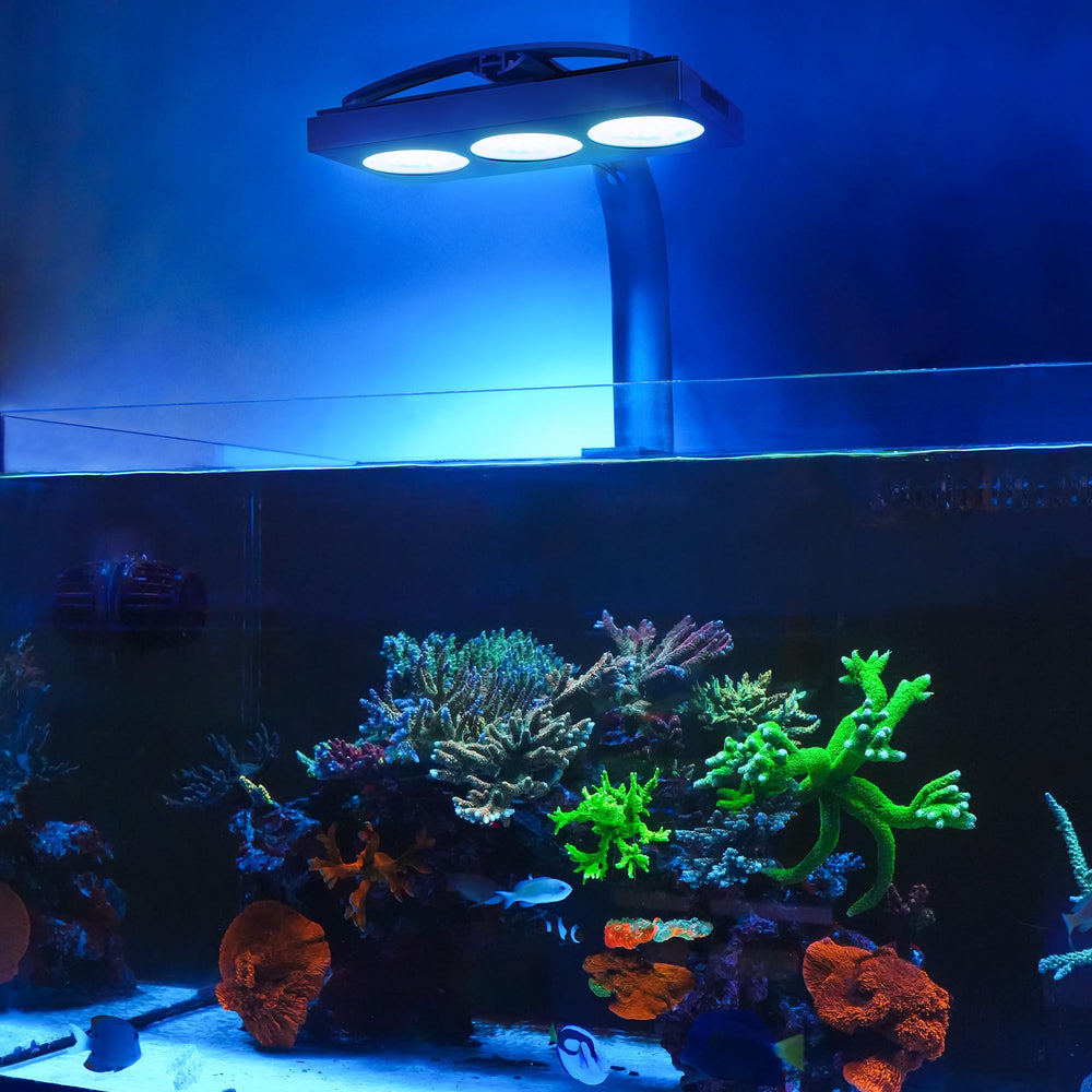 NICREW HyperReef 200 Gen 2 reef glow showing vibrant colors in coral display