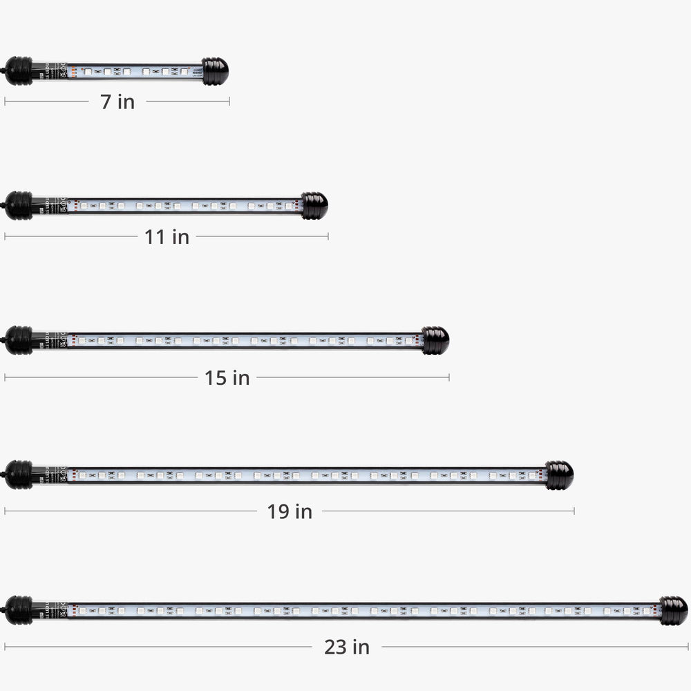 NICREW LED aquarium light night-cycle shows gradual sunrise and sunset effects.