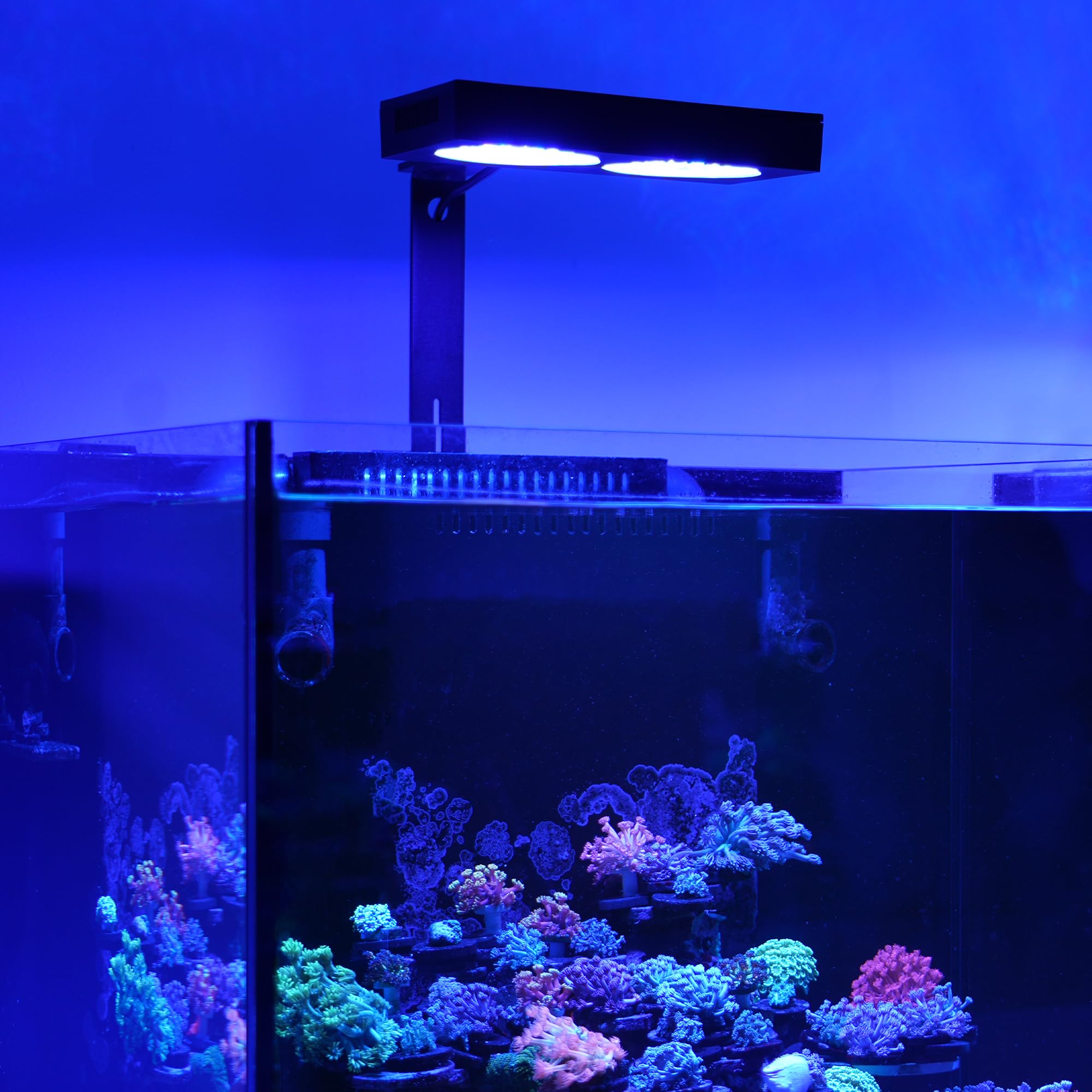 NICREW NavaReef open-top installation option with Hanging Kit for open tanks.