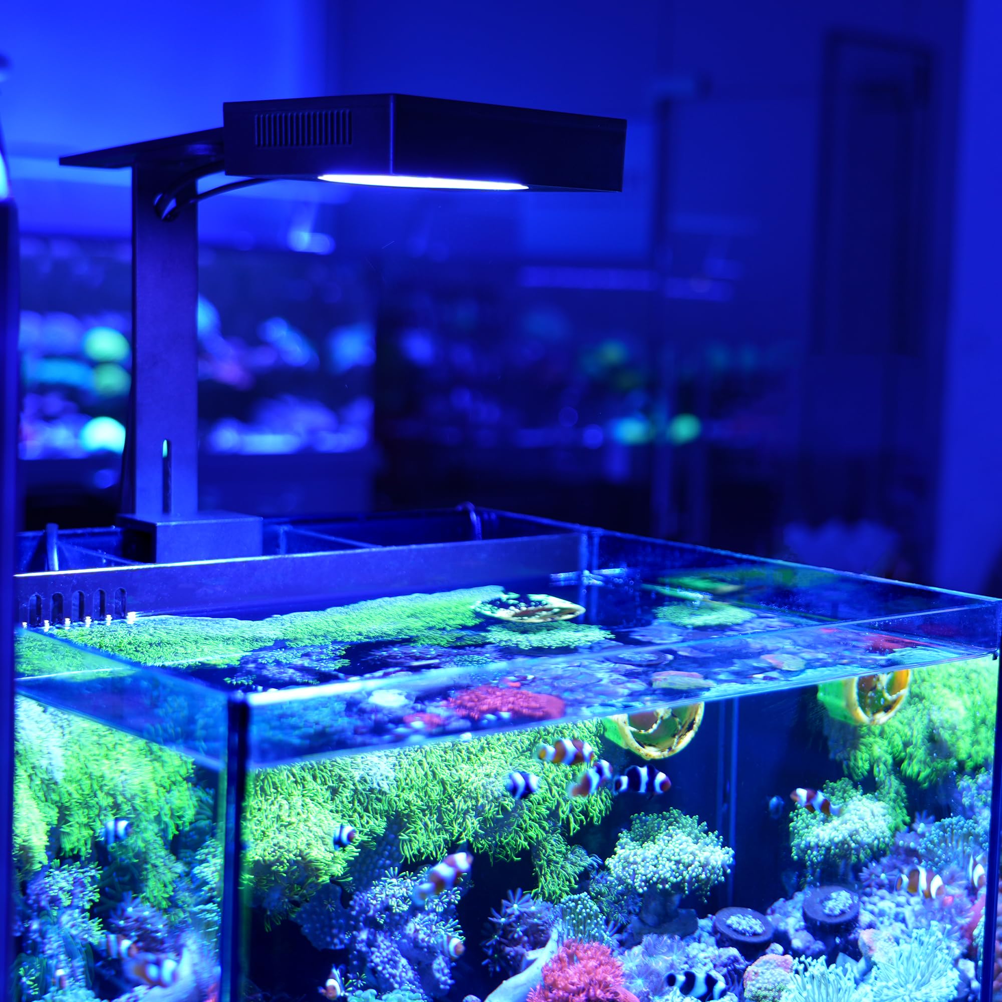 NICREW NavaReef 65W LED assembly with tank mount and hanging kit options