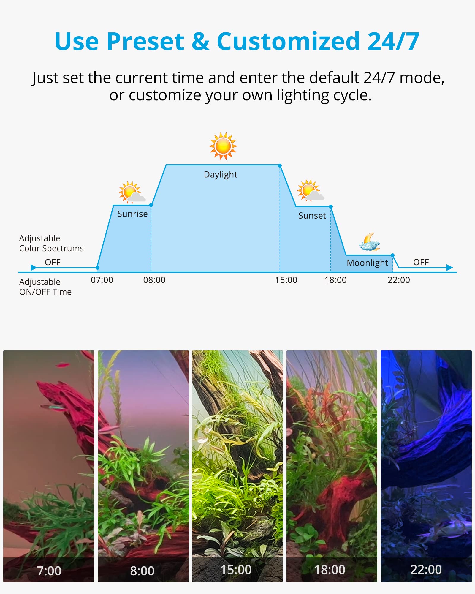 NICREW RGB+W 24/7 light closeup LEDs highlight plant colors and fish detail.