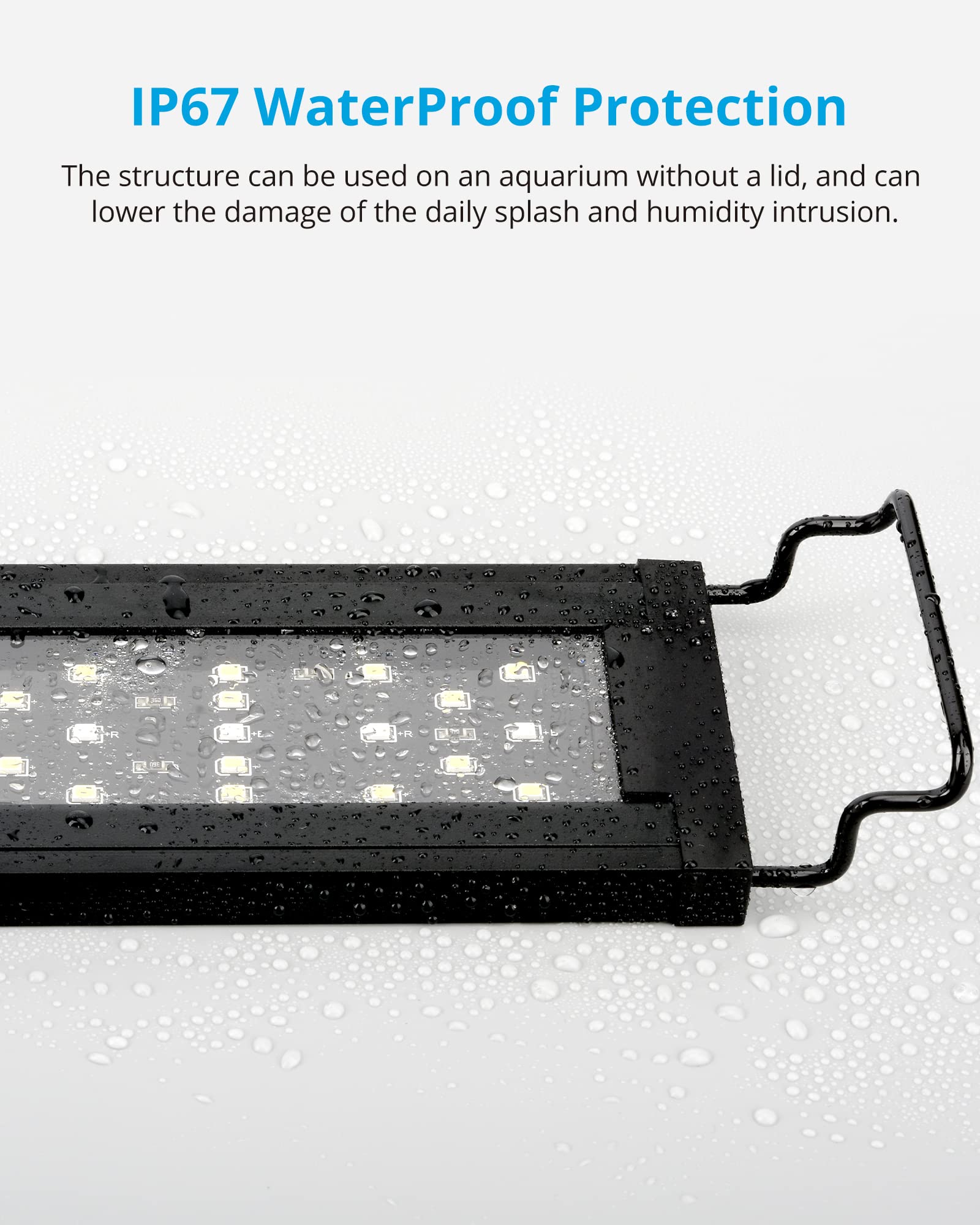 NICREW SkyLED Plus 6500K white with blue and red LEDs enhances plant photosynthesis.