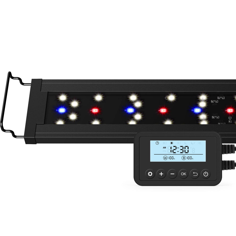 NICREW SkyLED Plus full-spectrum LEDs support lush plant growth in freshwater tanks.