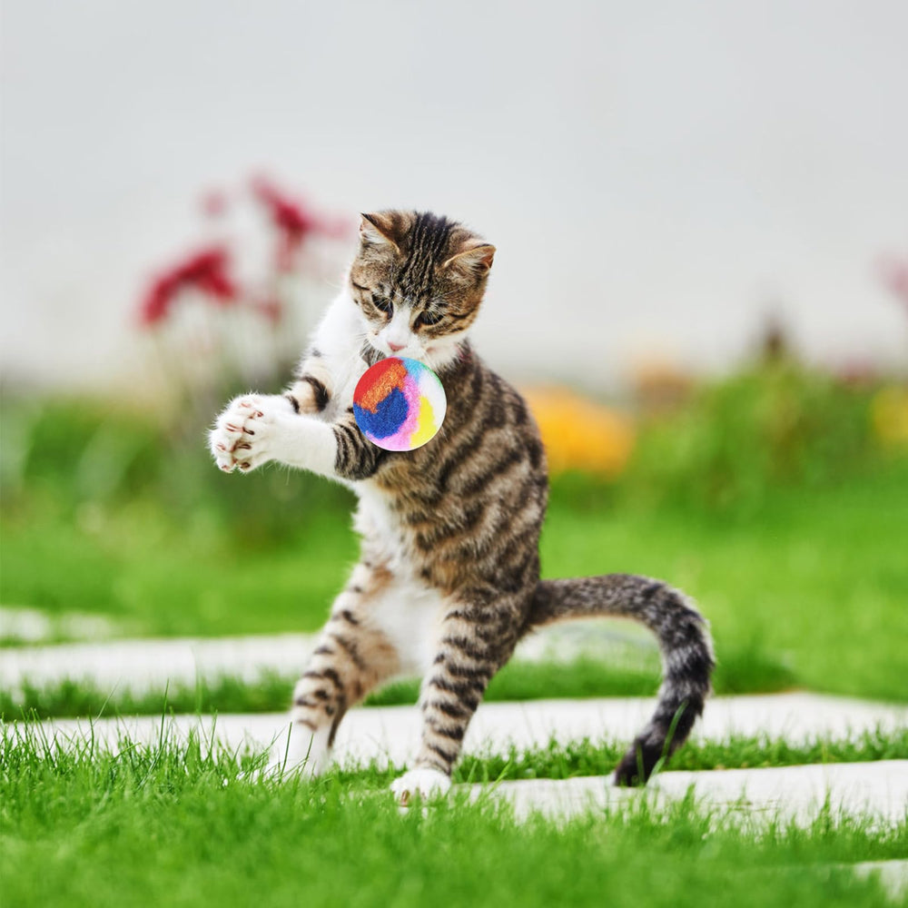 Nicunom pom pom balls are colorful and craft-friendly for decor or gifts.