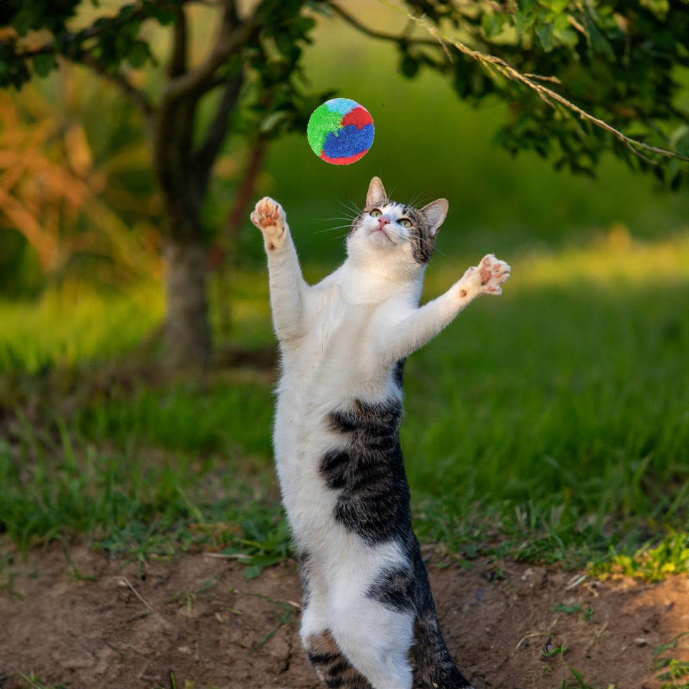 Nicunom cat toy balls in bright colors boosting sensory exploration and curiosity.