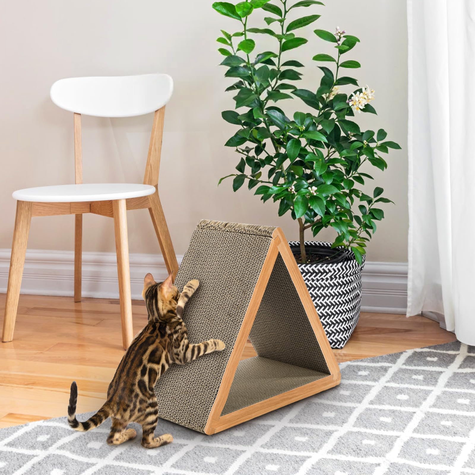 Nicunom-scratch-board-bed-hiding-point demonstrates extra comfort as a resting spot.