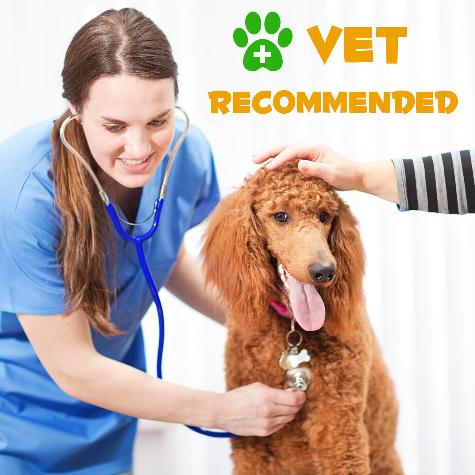 NIFEISHI Allergy Relief Drops for Dogs dropper provides gentle dosing for daily immune support