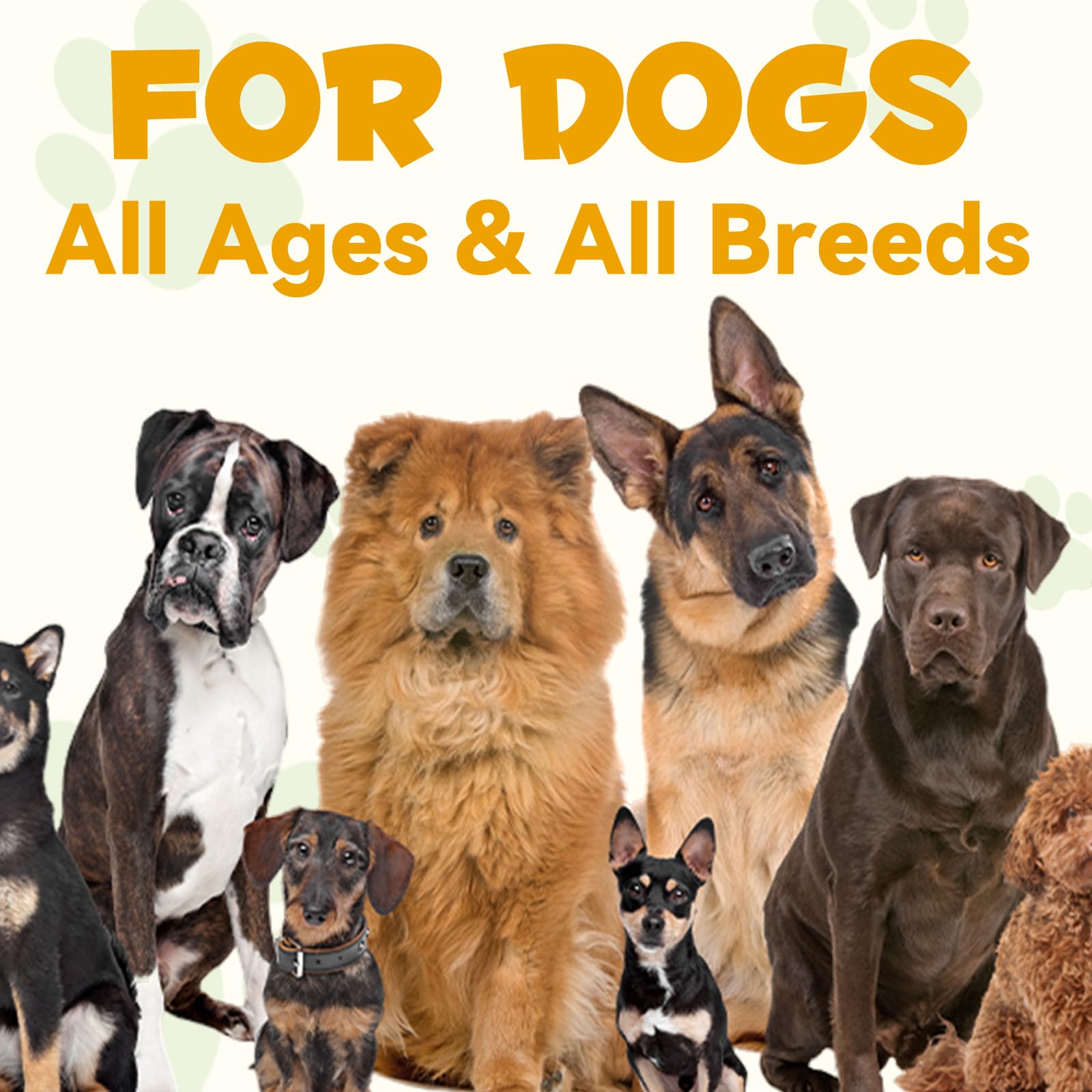 NIFEISHI Allergy Relief Drops for Dogs product pack shot suggests trusted seasonal care