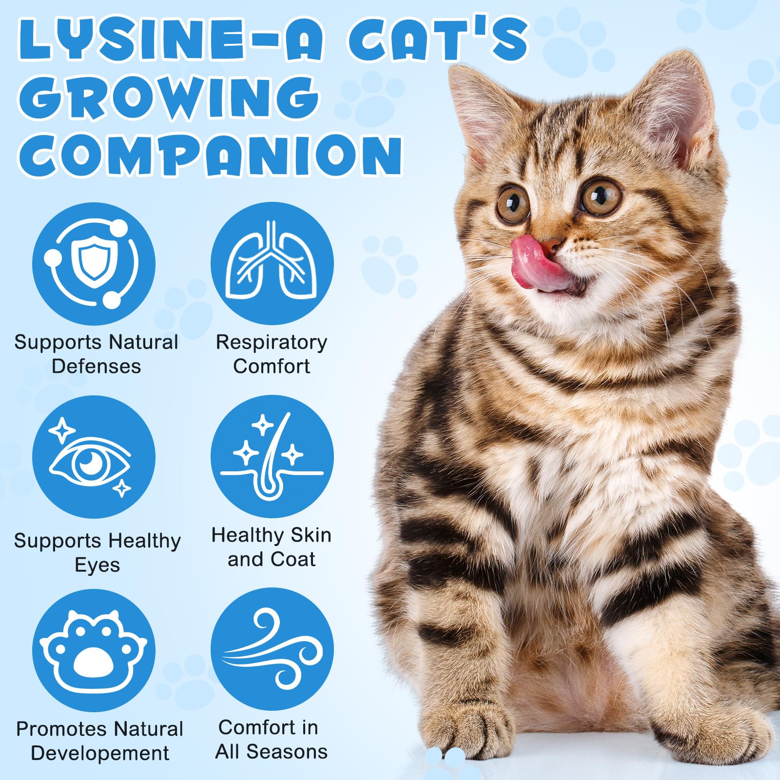Closeup of NIFEISHI Lysine cat drops bottle highlighting pure formula