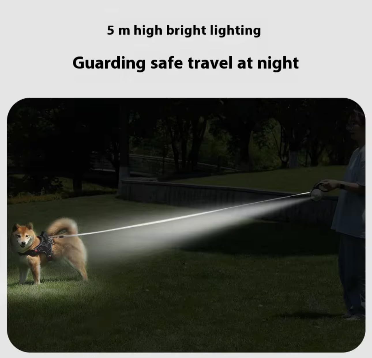Night-walk-ready leash improves safety with LED light and reflective features.