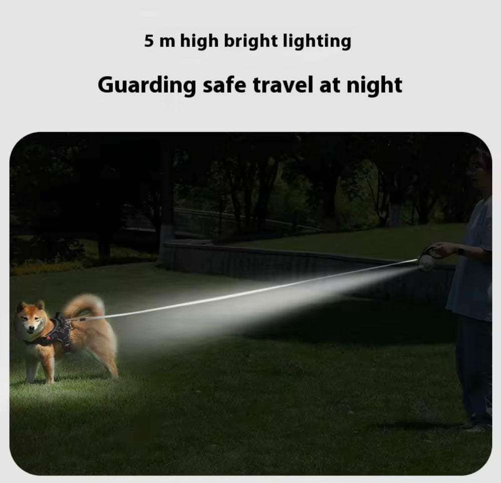 Night-walk-ready leash improves safety with LED light and reflective features.