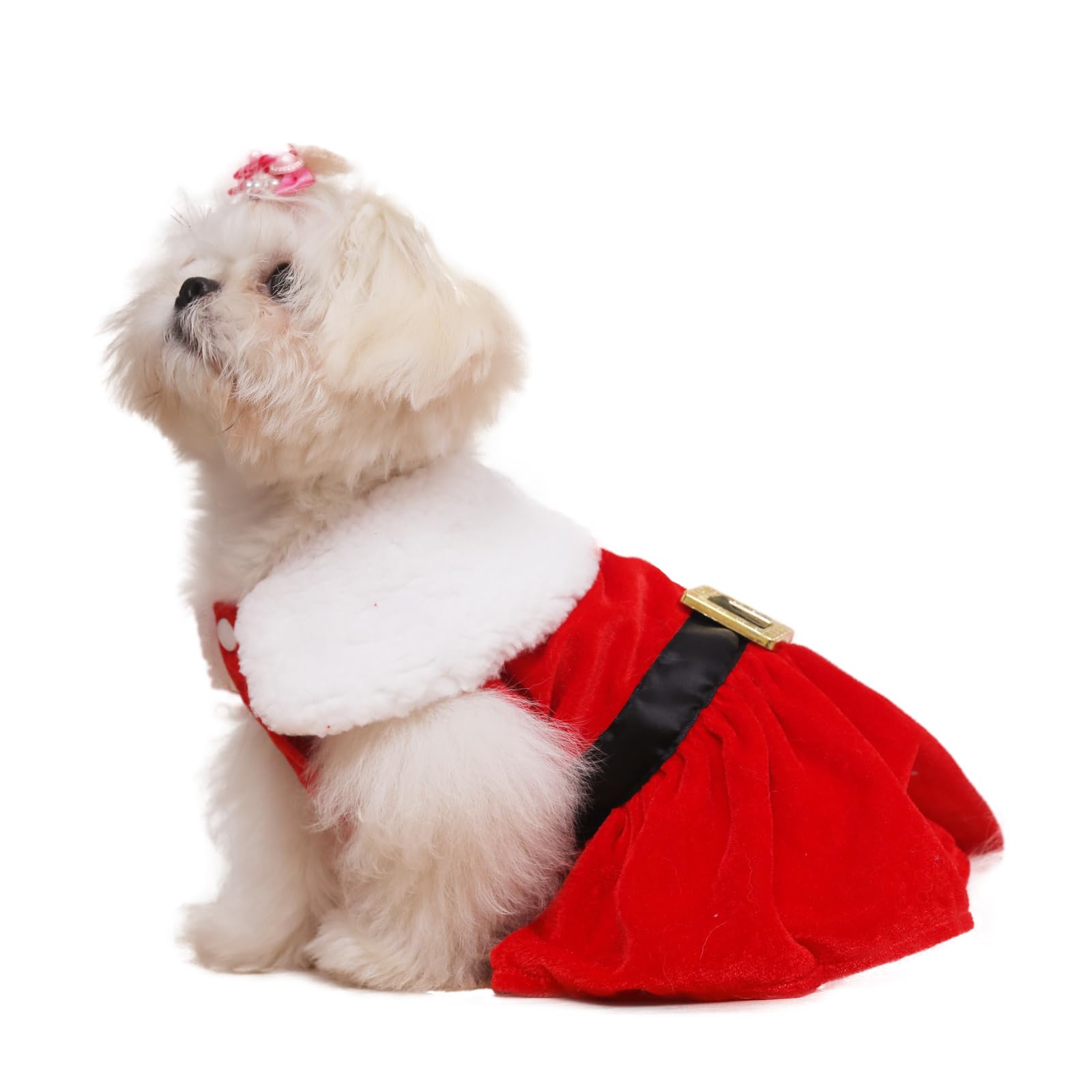 Nigua dog Christmas dress birthday outfit adds cute celebration flair.