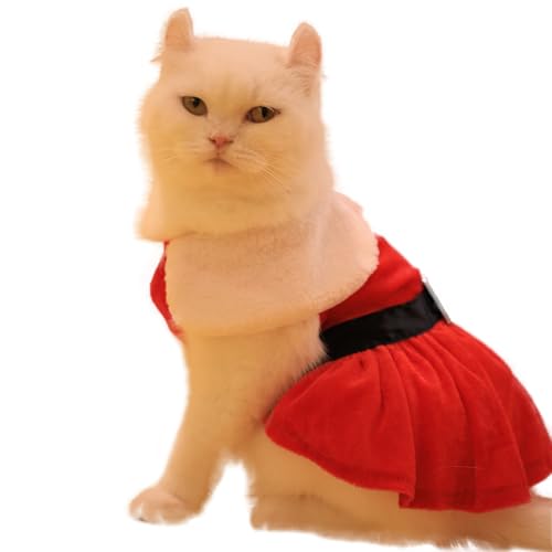 Nigua dog Christmas dress side view, stylish holiday wear
