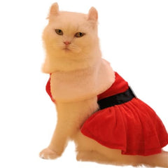 Nigua dog Christmas dress soft-fabric closeup highlights comfort for pets.