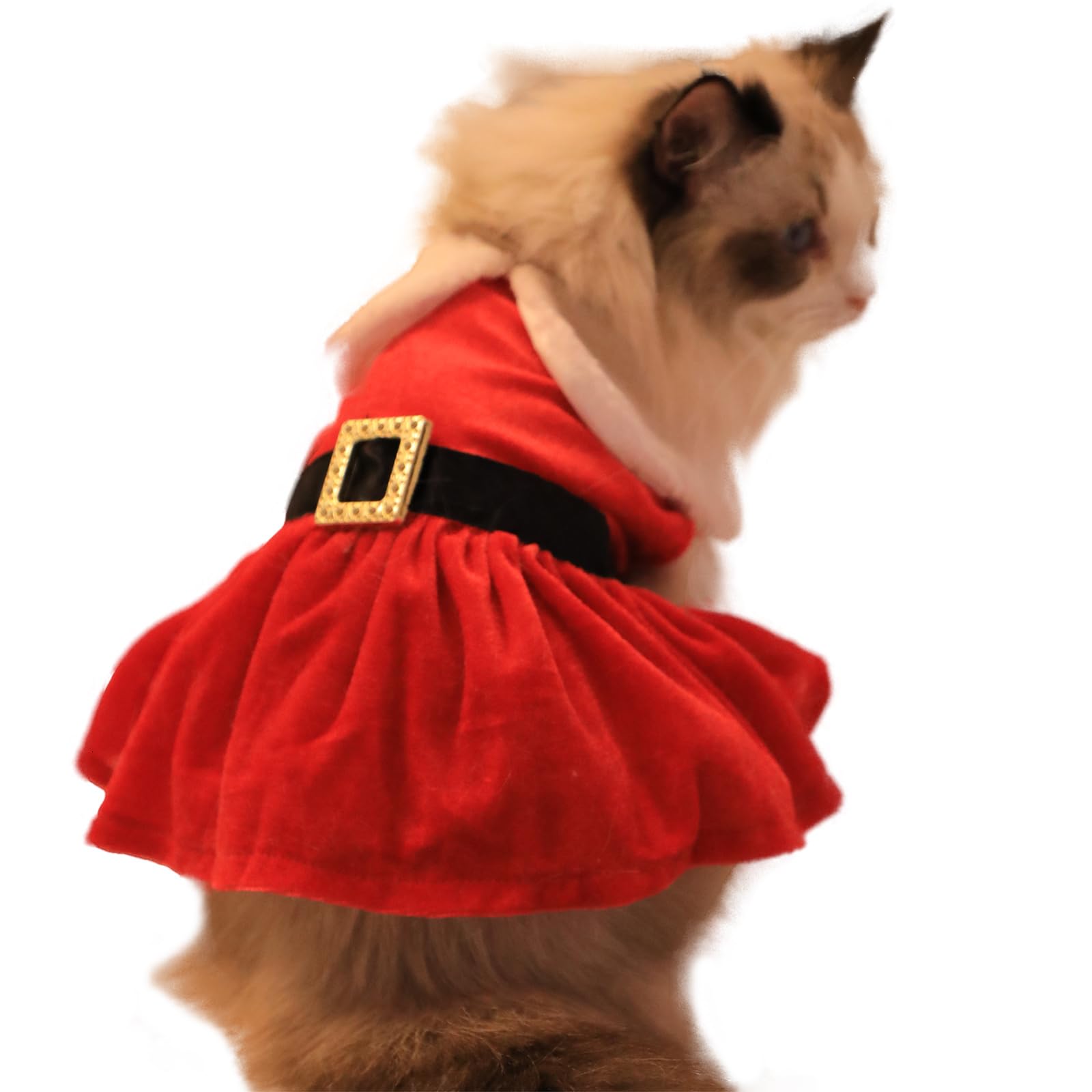 Nigua dog Christmas dress cozy winter petwear for daily celebrations.