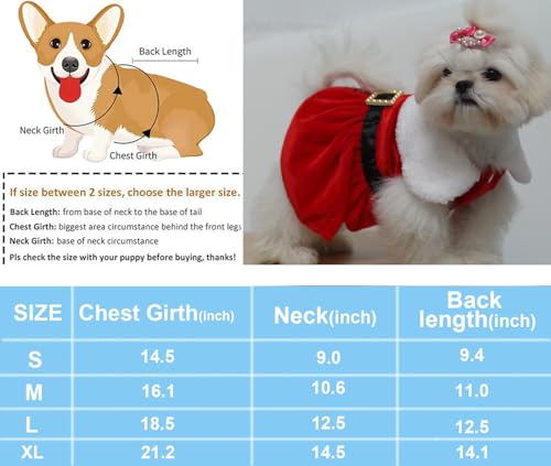 Nigua small dog Christmas dress fabric closeup, soft blend texture