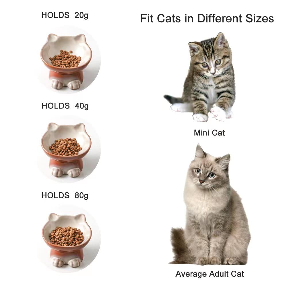 Nihow elevated cat bowl safety-stand setup highlights stable feeding.