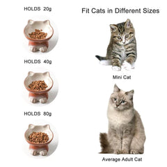 Nihow elevated cat bowl safety-stand setup highlights stable feeding.