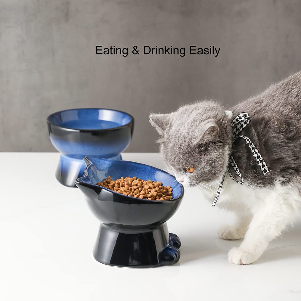 Nihow elevated cat-dog bowls cat-dog-compatibility illustrates versatile feeding for multi-pet homes.