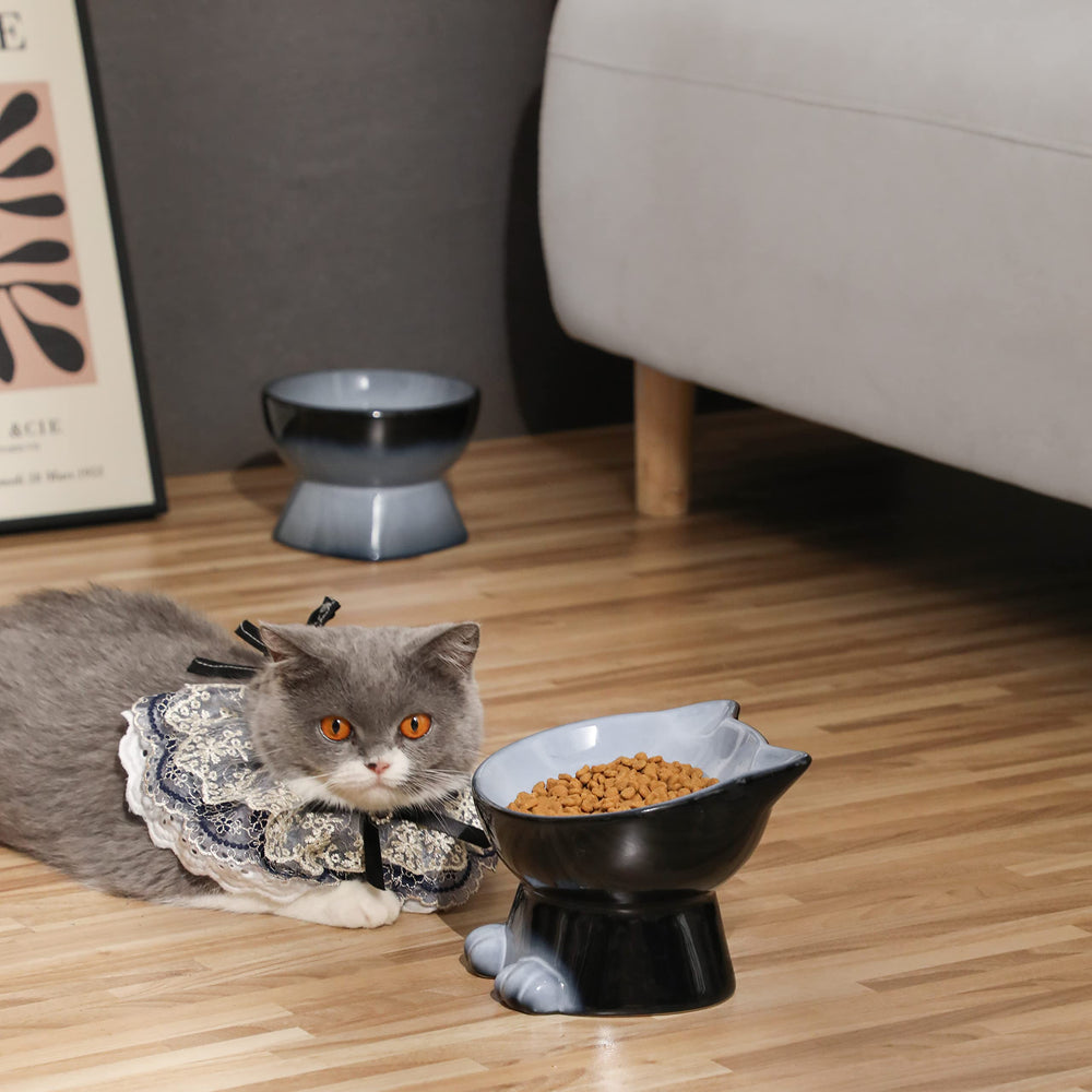 Nihow modern gray design enhances home decor while providing practical feeding.