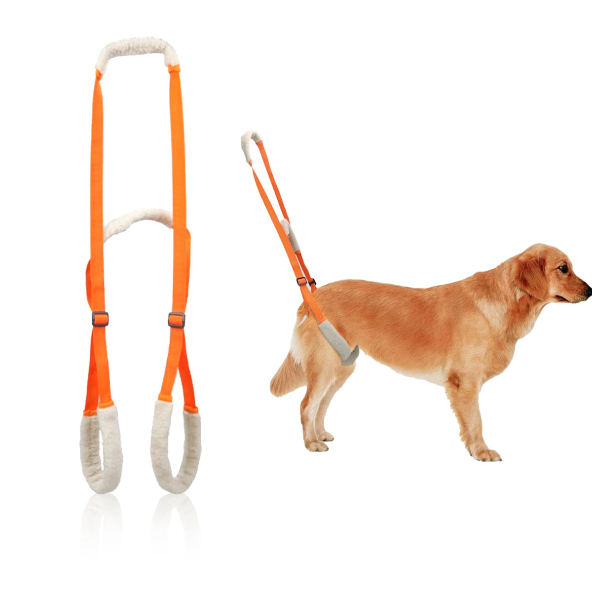 NIIIYTYB sling back legs orange demonstrates secure hind-leg support for mobility assistance.