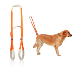 NIIIYTYB sling back legs orange demonstrates secure hind-leg support for mobility assistance.