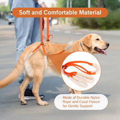 NIIIYTYB orange sling for small dogs facilitates easy transfers and grooming.