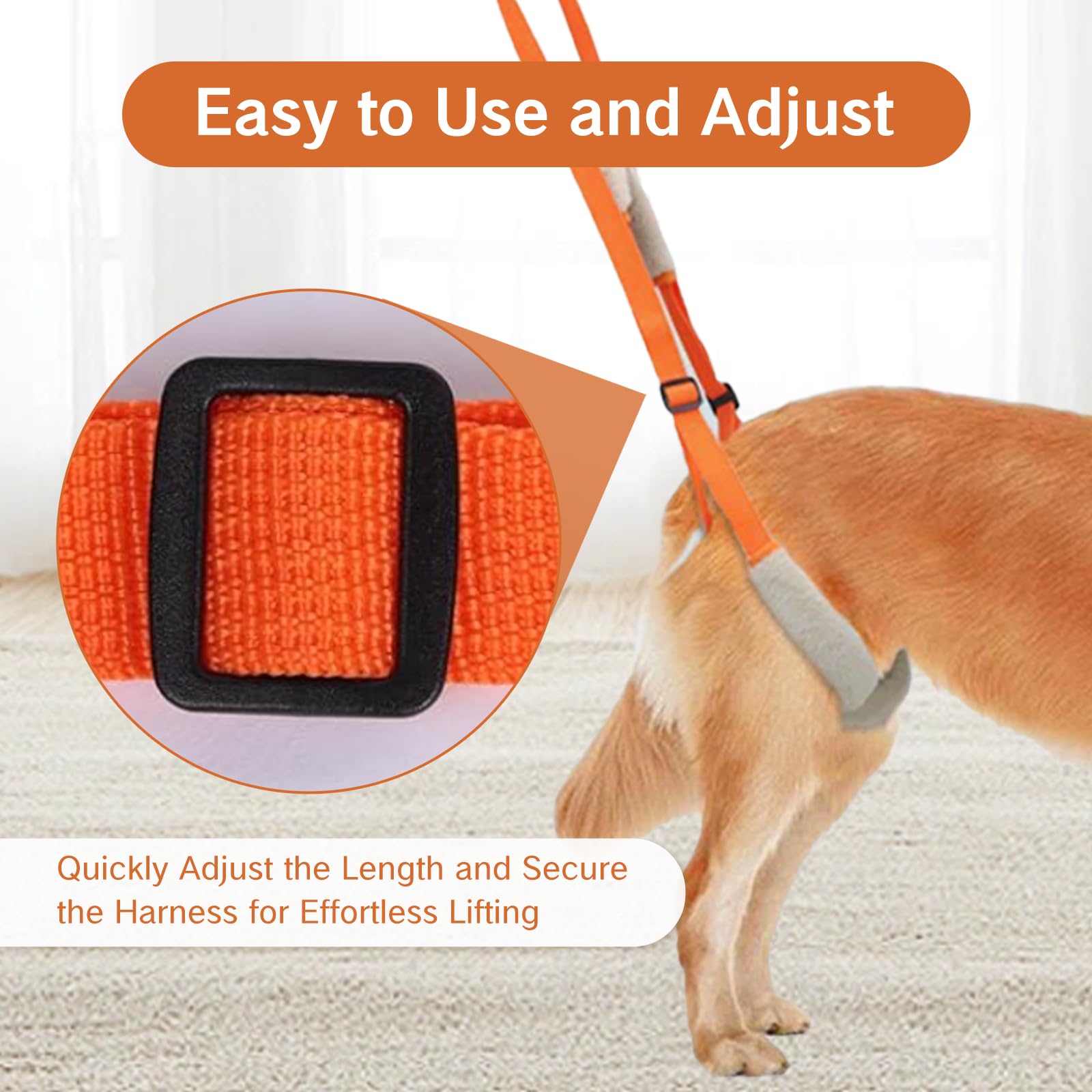 NIIIYTYB orange sling with adjustable leg loops ensures secure fit for small dogs.