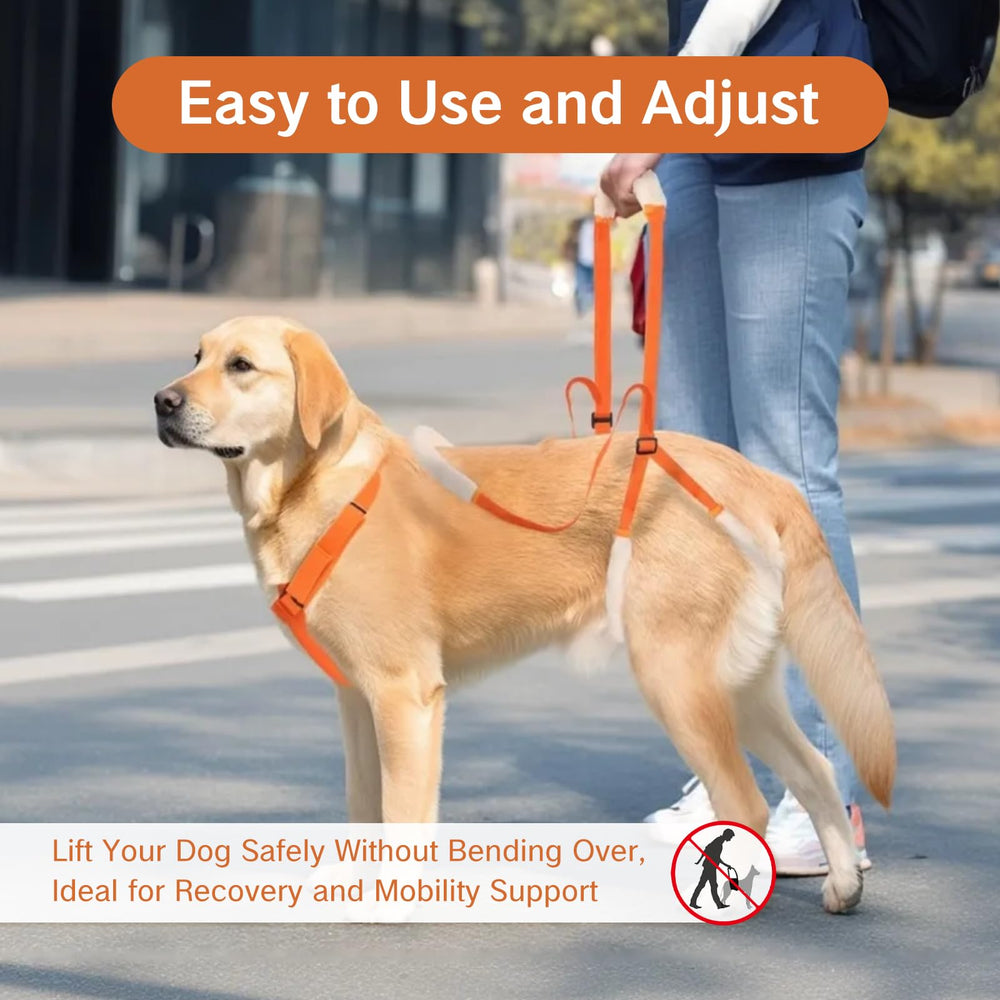 NIIIYTYB rear-support sling reduces bending strain for owners during rehab tasks.
