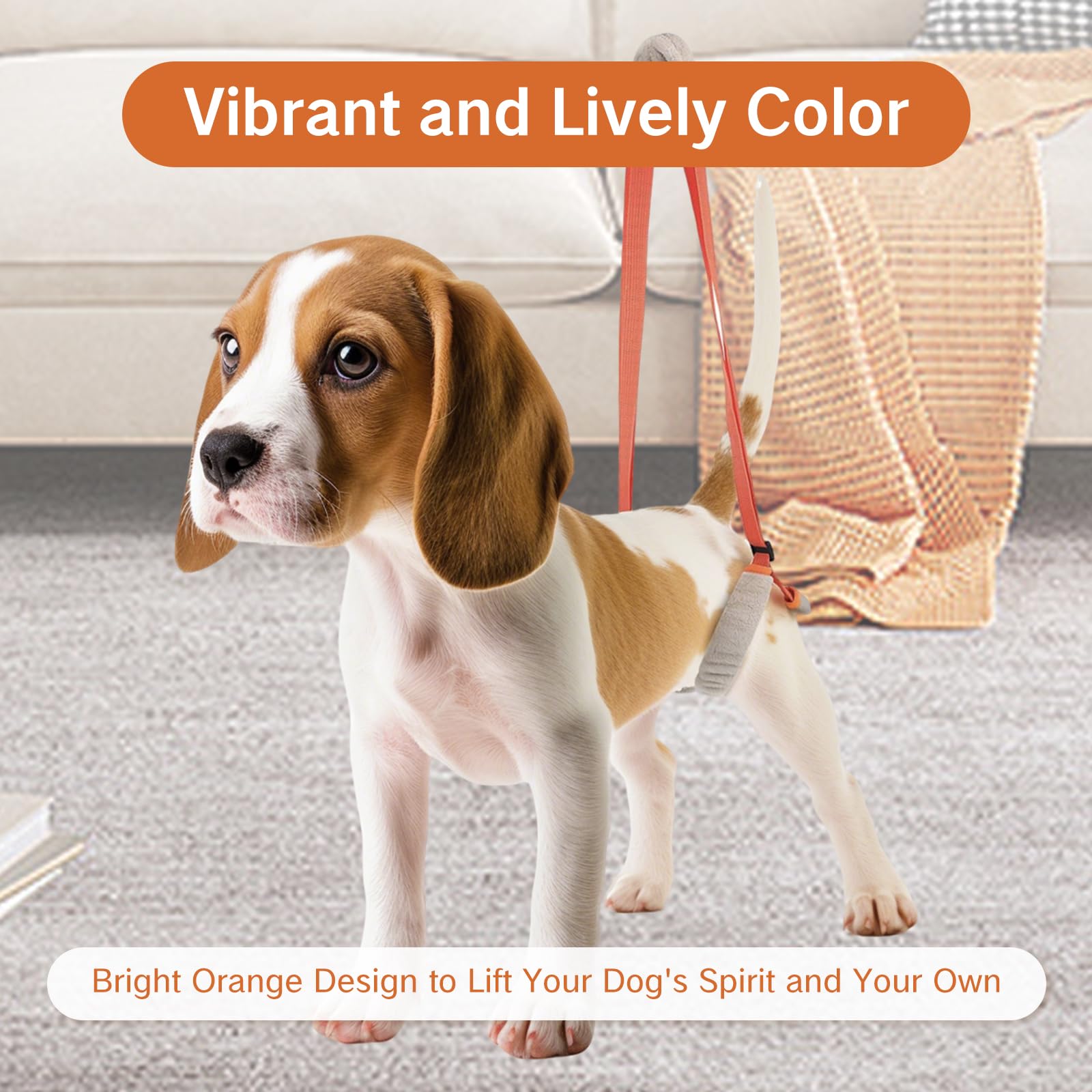 NIIIYTYB small-dog harness aids hind-leg mobility without pressure on sensitive areas.