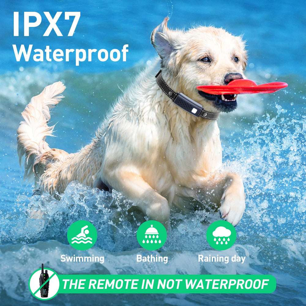 Nikketta IP67 waterproof collar ready for rain, puddles, and outdoor adventures.