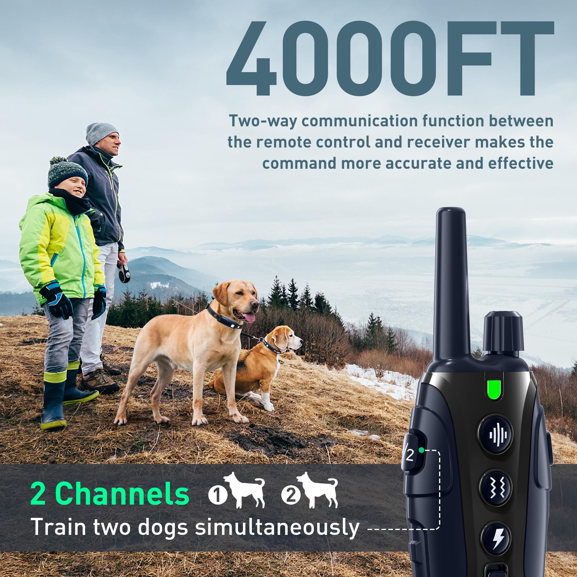 Nikketta dog shock collar safe shock control for adjustable training intensity.
