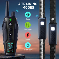 Nikketta dog shock collar with two-dog remote for dual-channel training.