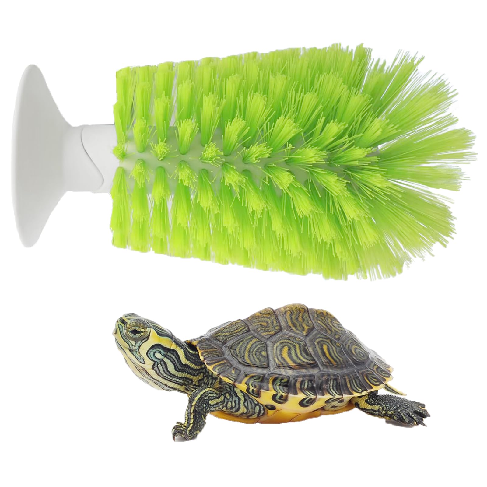 Nilioerup turtle-scrub-brush suction-base cleans tank glass easily