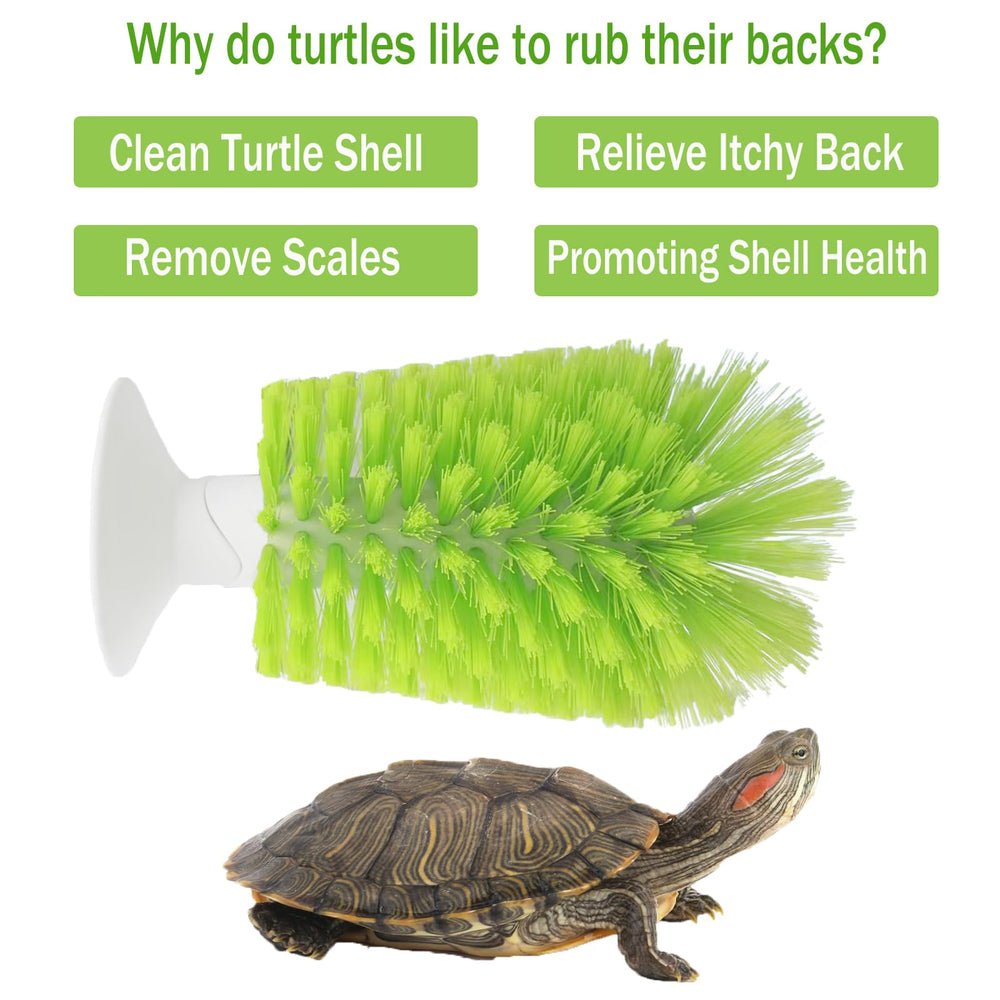 Nilioerup turtle-shell-clean-brush dense-bristles remove mud from shells