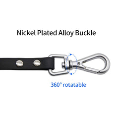 NIMBLE 50-foot long line used for hiking and recall training outdoors.