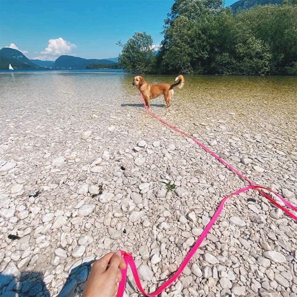 NIMBLE waterproof leash outdoor training ready for hikes and beach days