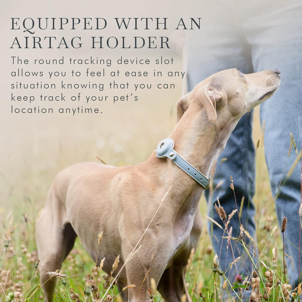 Nina Woof Cupertino adjustable-fit collar ready to grow with your dog.