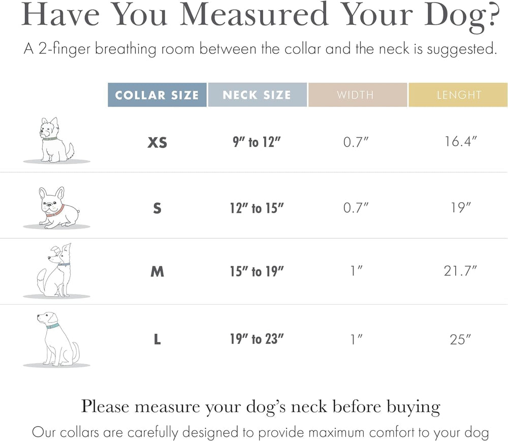 Nina Woof Cupertino blue harness with secure strap detail for daily adventures.