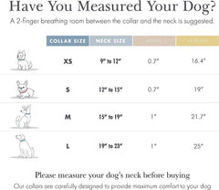 Nina Woof Cupertino collar pink with tracking holder shows AirTag compatibility for safety.