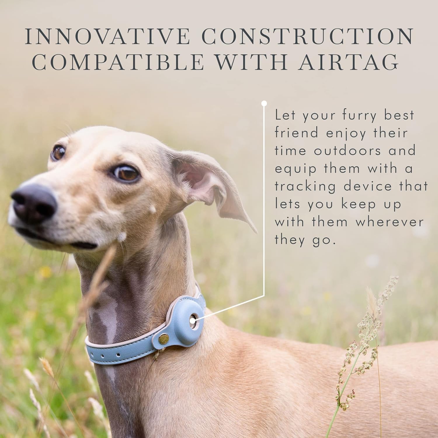 Nina Woof Cupertino cruelty-free vegan leather collar on sunny day.