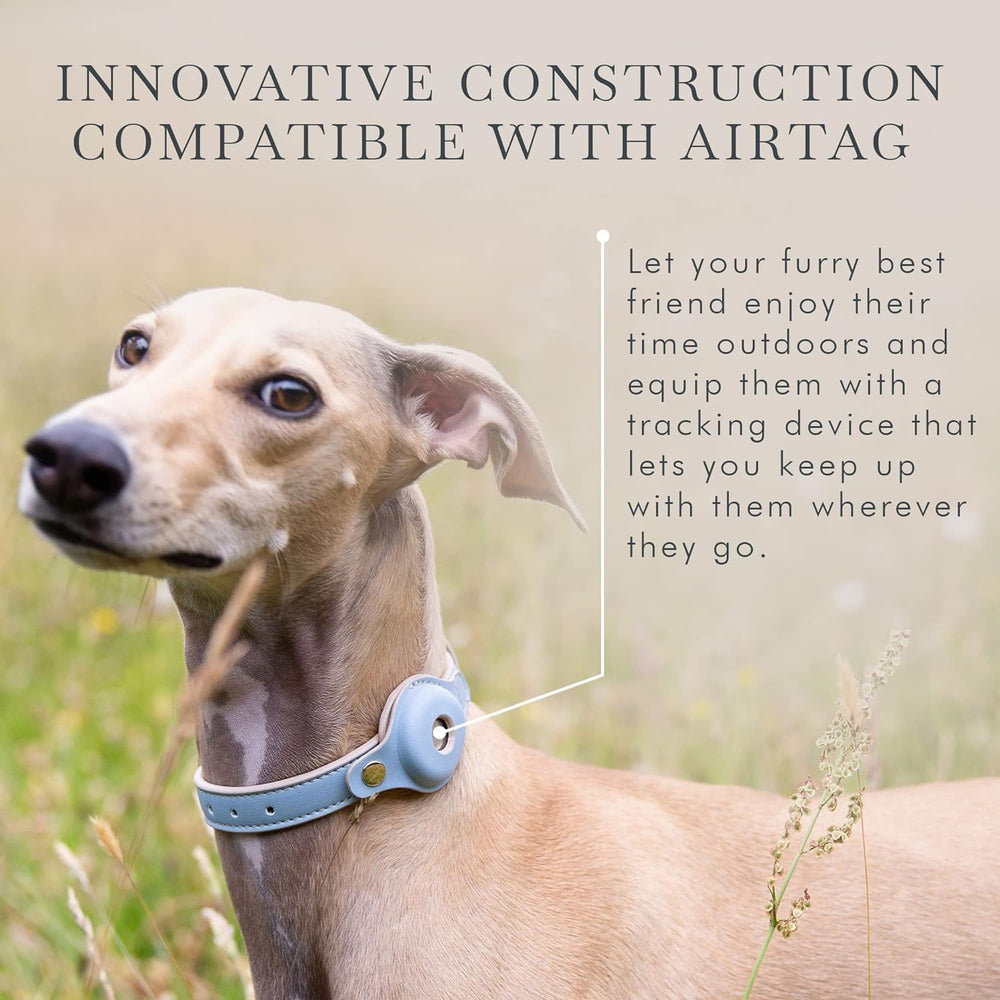Nina Woof Cupertino cruelty-free vegan leather collar on sunny day.