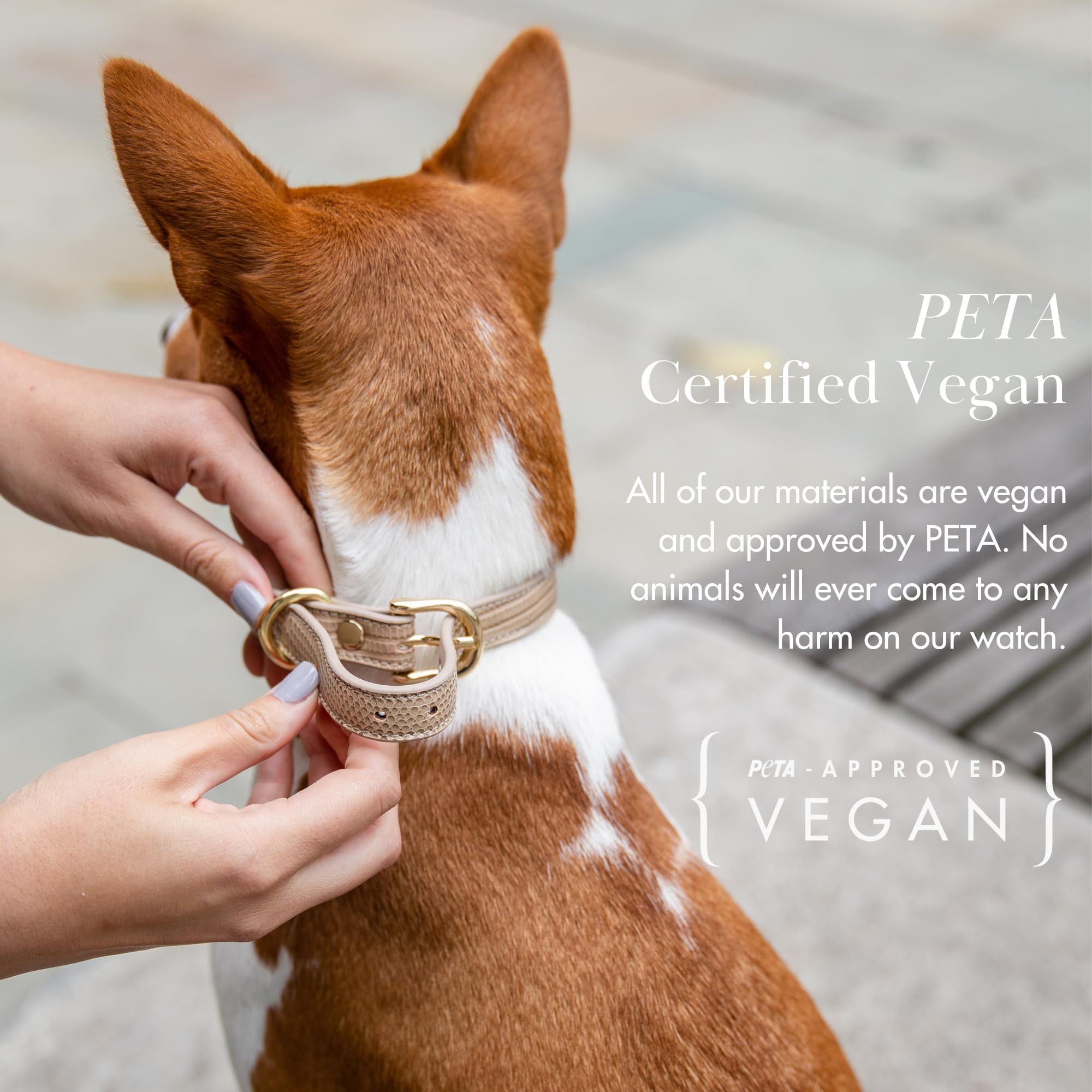 Nina Woof Milan adjustable buckle system for a secure, customizable fit.