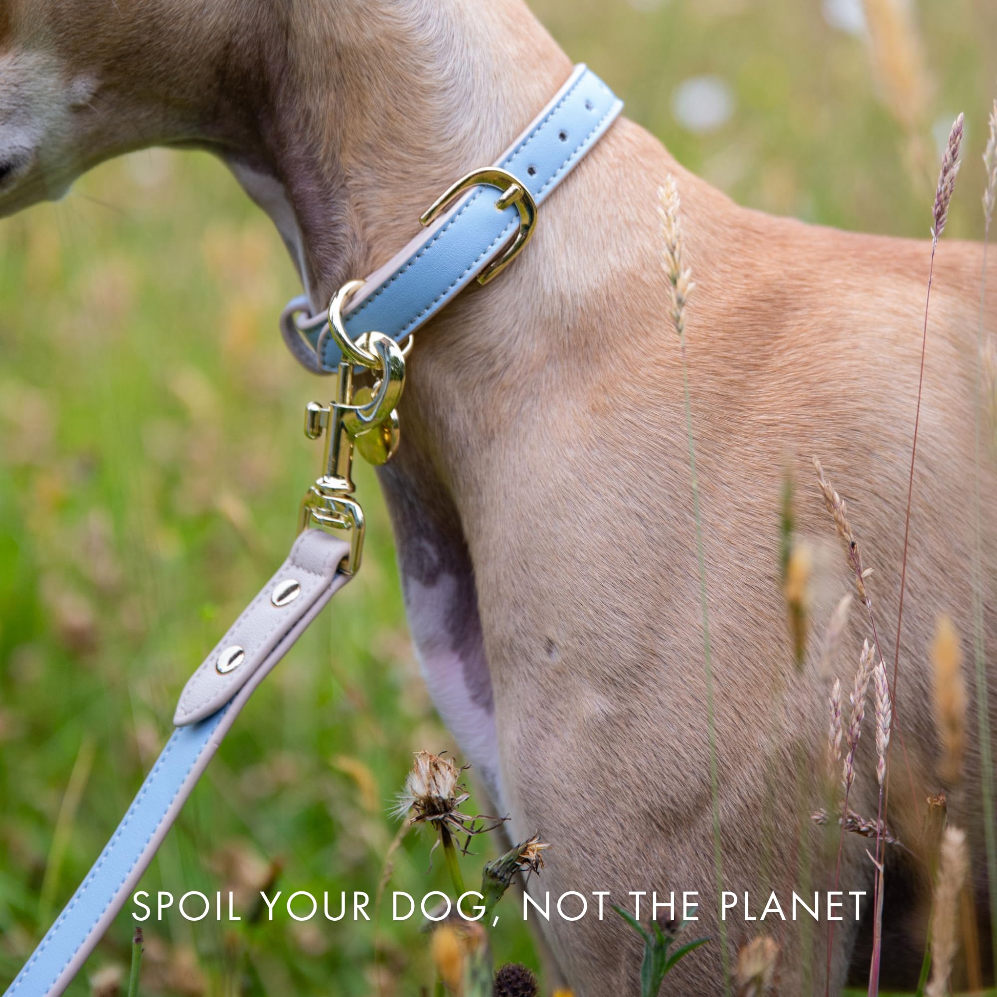 Nina Woof cruelty-free blue-leash communicates ethical premium quality.