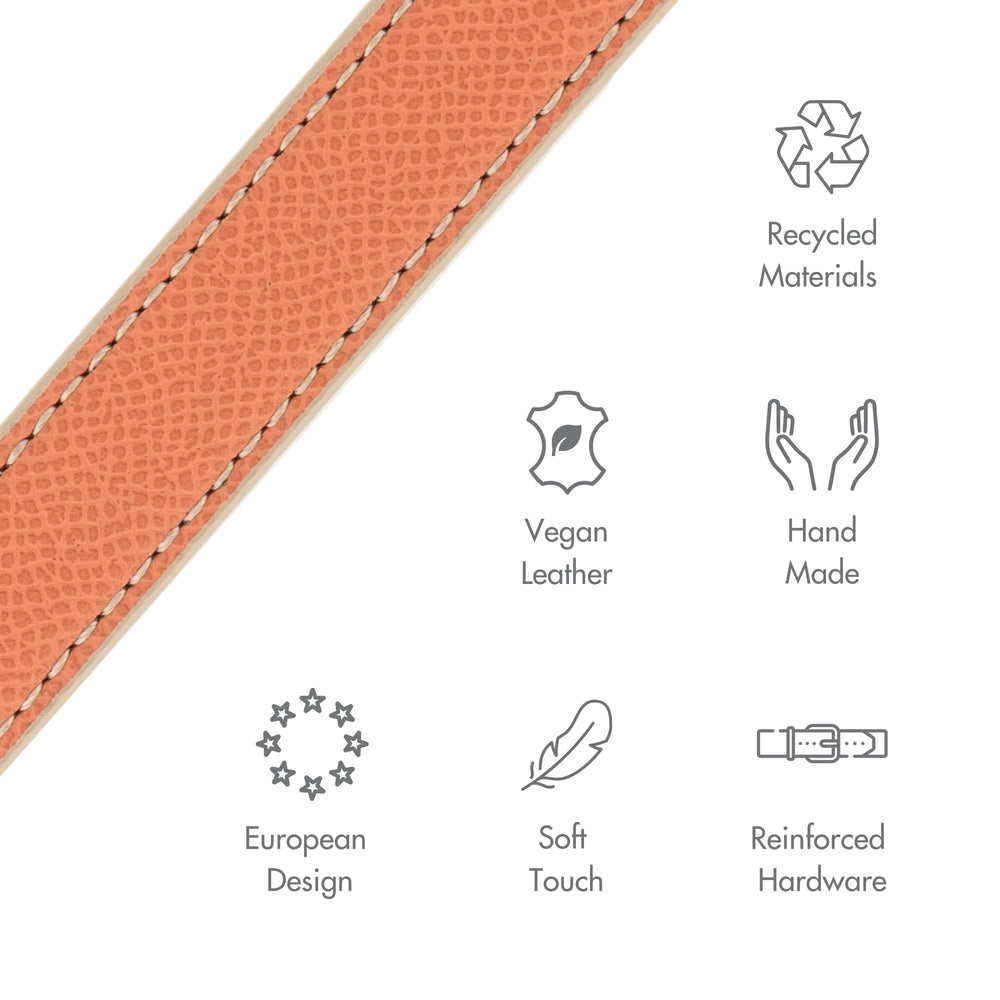 Nina Woof Rio adjustable buckle collar designed for secure fit