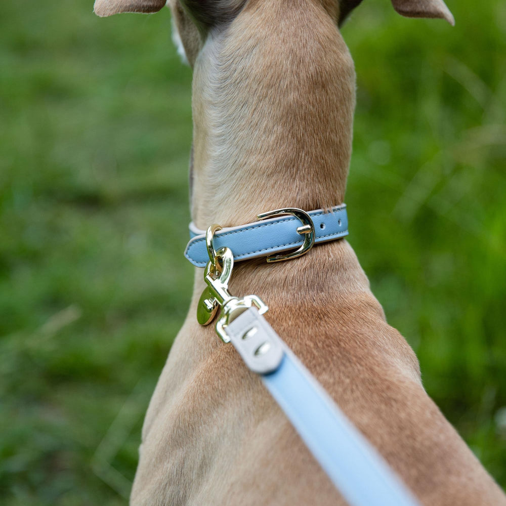 Nina Woof vegan-leather-texture soft-touch leash highlights cruelty-free luxury.